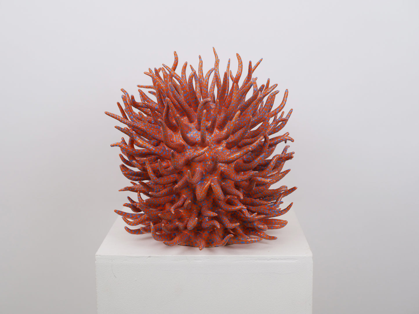 Saltare Vase