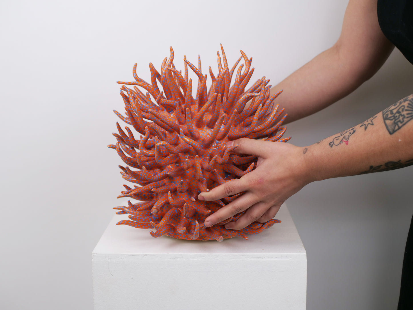 Saltare Vase