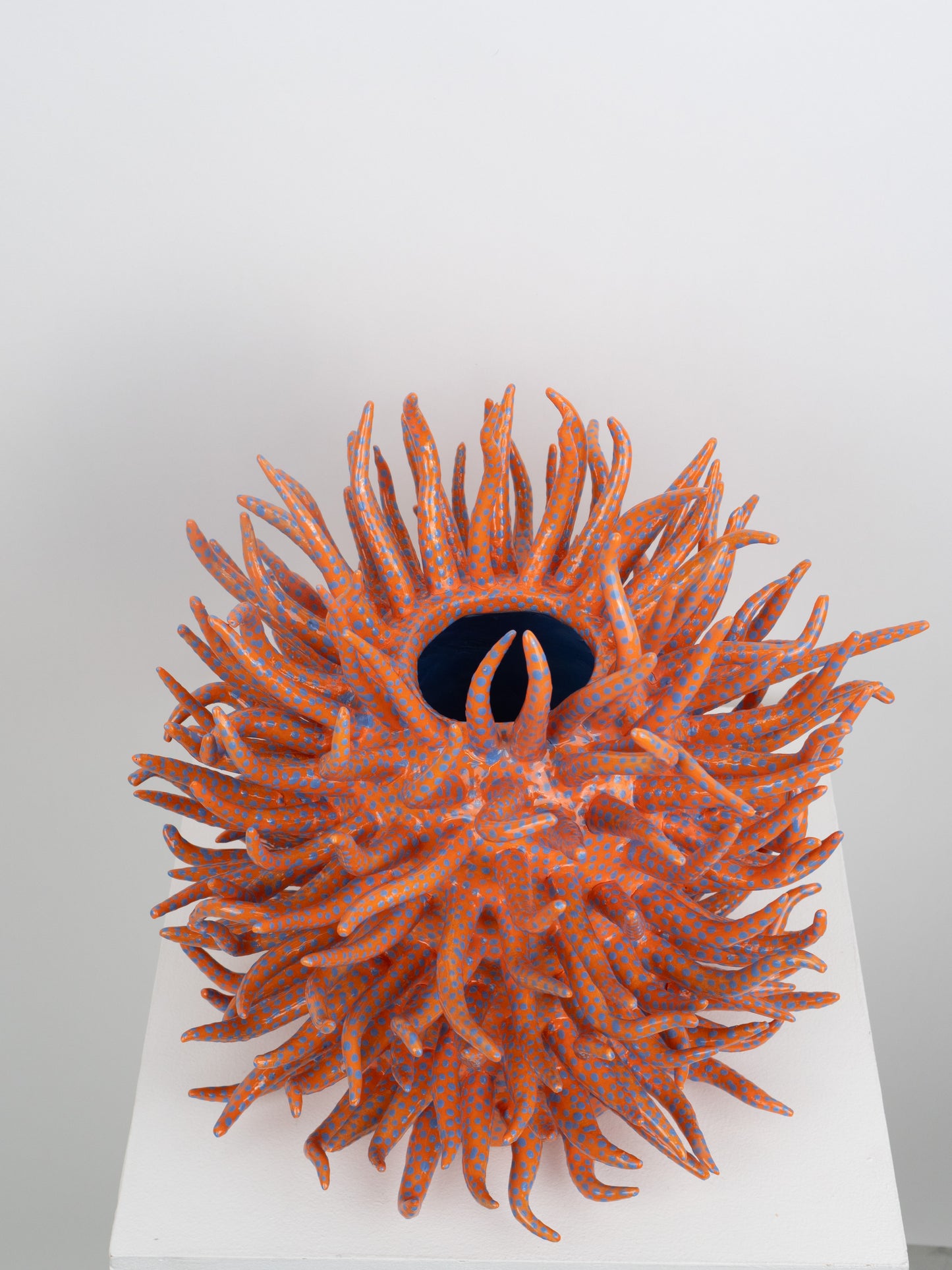 Saltare Vase