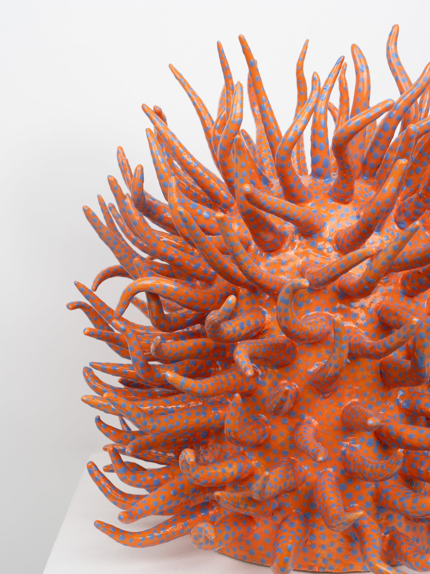 Saltare Vase