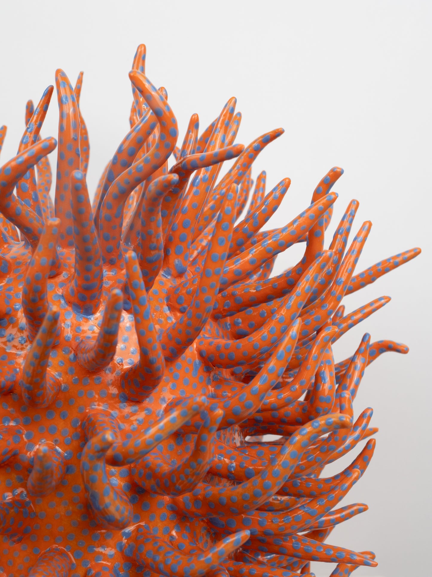 Saltare Vase