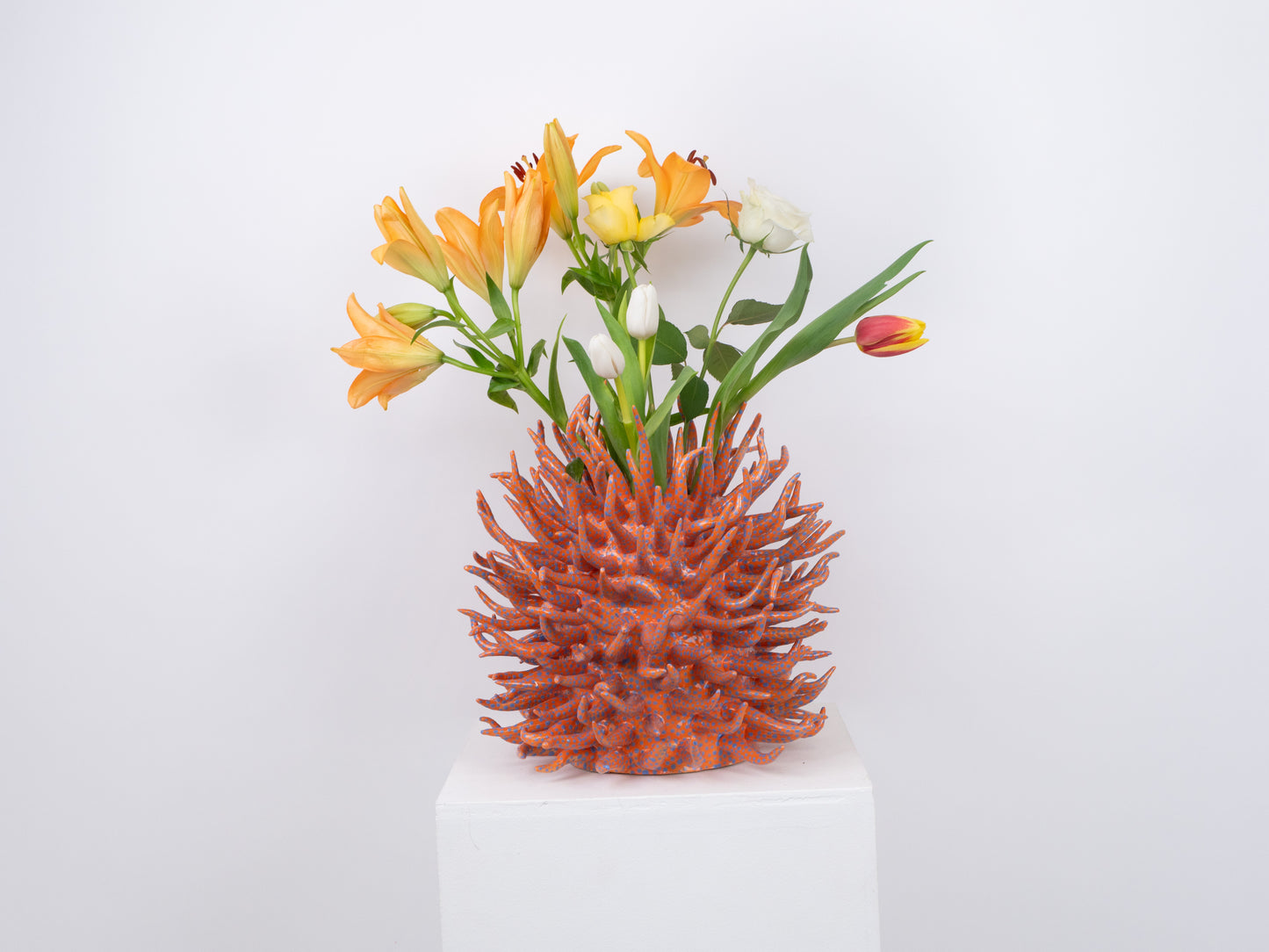 Saltare Vase