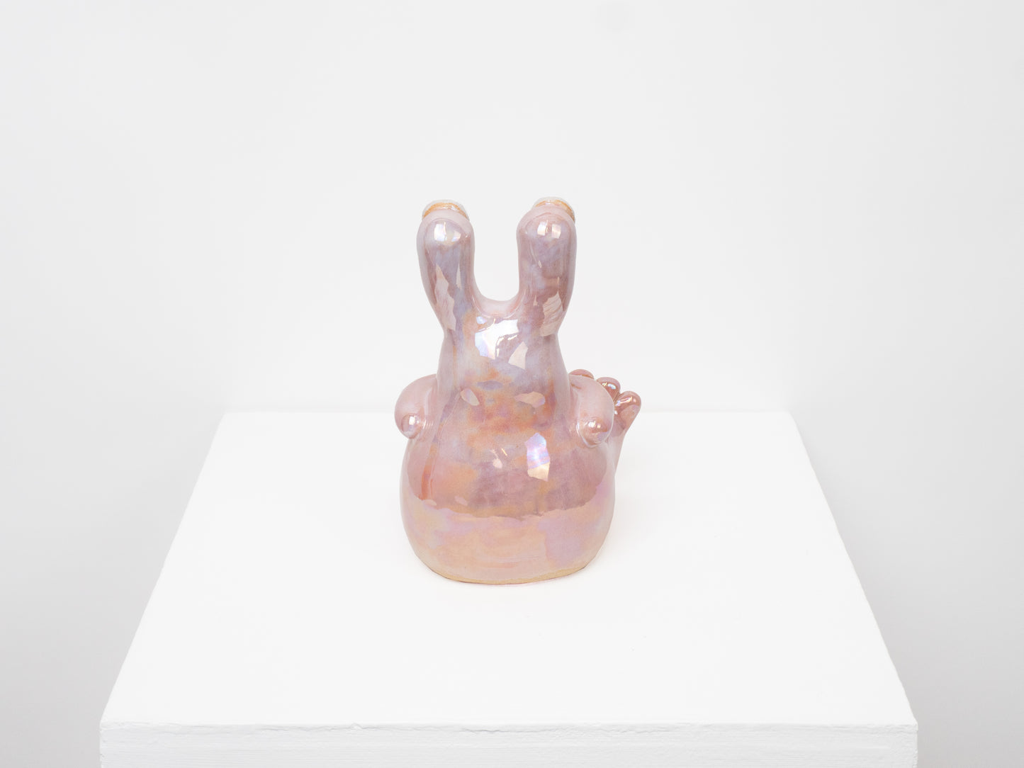 Buddy with a Daffodil- Pink Pearl