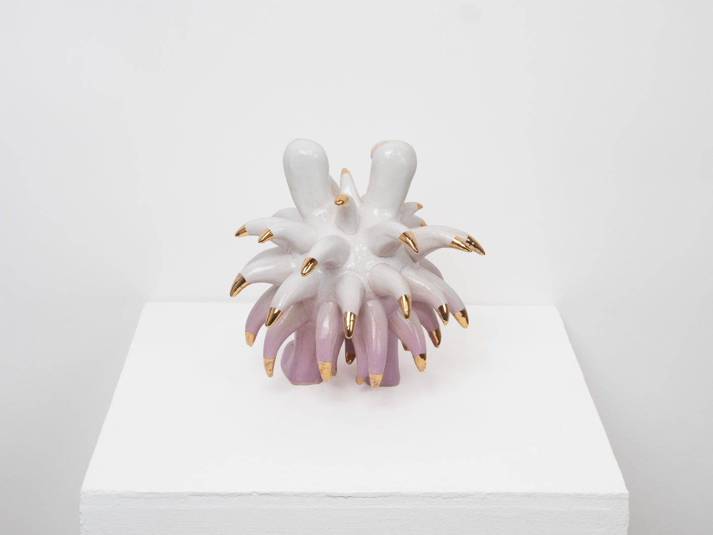 Dinky Devin - Lilac Fade