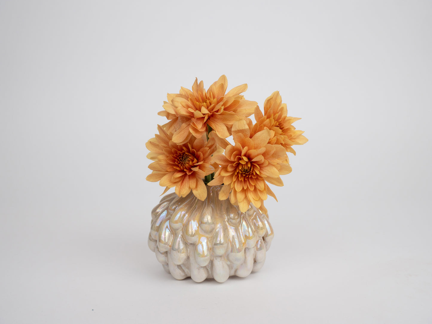 Drip Vase - Daisy