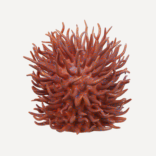 Saltare Vase